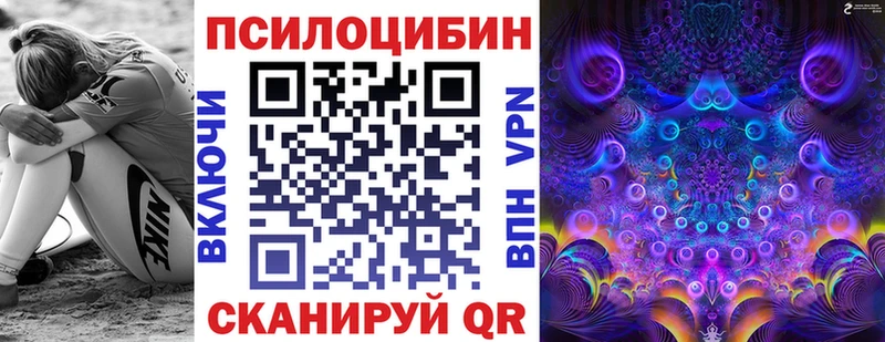Псилоцибиновые грибы Cubensis Ржев